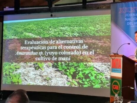 jornada nacional del mani