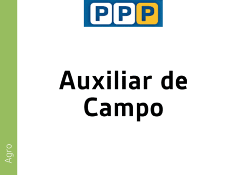 Auxiliar de Campo